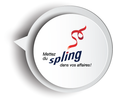 SPLING, développer le leadership, optimiser l'organisation