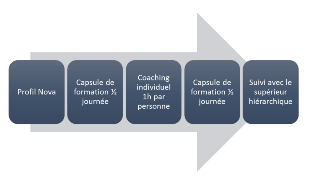 cas vécu de parcours formation et coaching, comment utiliser le coaching en complement aux approches pedagogiques, développer le leadership, optimiser l'organisation, formation, coaching, consultation